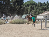 PONEY CLUB DES LOUVETS